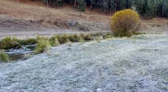 Kars'ın Sarıkamış İlçesinde Kırağı Güzelliği