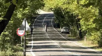 Bartın-Karabük Yolundaki Ağaç Tüneli Fotoğraf Meraklılarının Gözdesi