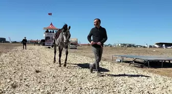 16. Manavgat Side Geleneksel Rahvan At Yarışları Gerçekleşti