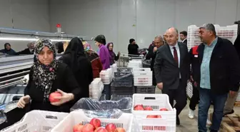 Denizli'den Avrupa'ya Nar İhracatı Başladı