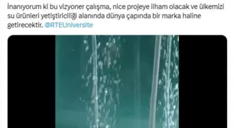 Emine Erdoğan'dan Mersin Balığı Koruma Projesine Destek