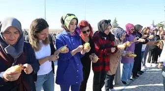 Nevşehir Patates Festivali Renkli Etkinliklere Ev Sahipliği Yaptı