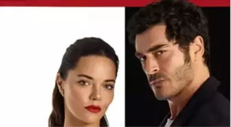 Sahtekarlar dizisi senaristi kimdir? Sahtekarlar dizisini kim yazdı?