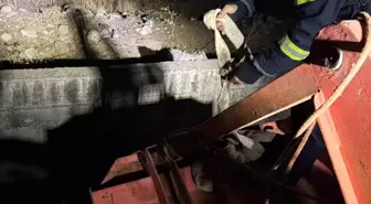 Siirt'te İnek Atık Su Kanalından Kurtarıldı