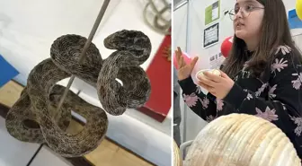 6 yaşında toplamaya başladı, 12'sinde müze kurdu