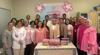 Emzirme ve Normal Doğum Haftası Akçakoca'da Kutlandı