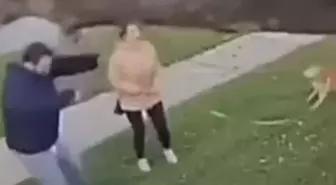 Dev ağaç üzerlerine devrildi, saniyelerle ölümden kurtuldular