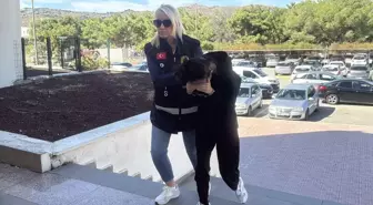 Bodrum'da Ölü Doğan Bebek Olayında Genç Kadın Adliyeye Sevk Edildi