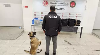 Hamzabeyli Gümrük Kapısı'nda Uyuşturucu Operasyonu: 105 Kilo Esrar Ele Geçirildi