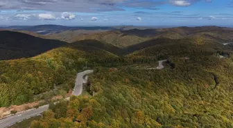 Istranca Ormanları Sonbaharda Büyüleyici Güzellikte