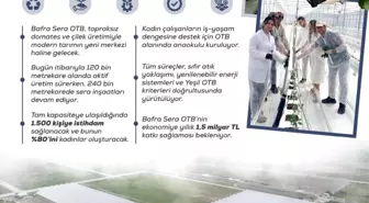 Bafra Sera Organize Tarım Bölgesi Projesi: Kadın İstihdamı ve Ekonomik Katkı