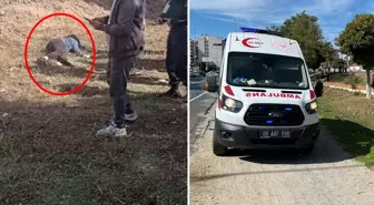 Kahreden olay! Torununun hayatını kurtardı, kendisi ağır yaralandı