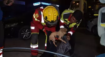 Konya'da İtfaiye, Sıkışan Köpek Yavrusunu 6 Saatte Kurtardı