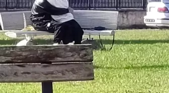 Akyazı Parkında Uygunsuz Davranışlar Kaydedildi