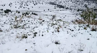 Posof ilçesinde etkili kar yağışı beyaz örtüyle kapladı