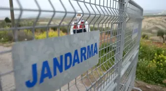 Samsun'da şap hastalığı nedeniyle 32 mahallede karantina kararı