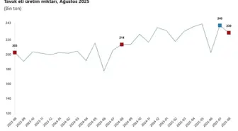 TÜİK: Ağustosta Tavuk Eti Üretimi Düştü, Süt ve Yumurtada Artış