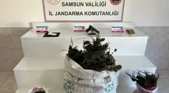 Bafra'da Uyuşturucu Operasyonu: 1 Şüpheli Yakalandı