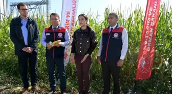 Denizli'de Organik Toprak Düzenleyici Projesi Bilgilendirme Toplantısı