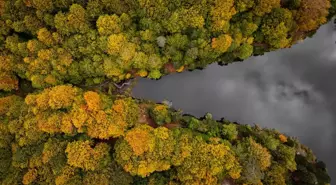 Sonbahar Güzellikleri: Domaniç Dağları'nda Renk Değişimi