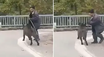Sesleri duydu, dönüp arkasına bakınca şok yaşadı! Hala hayatta olması mucize