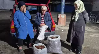 İki kişi 5 günde topladı, çuvalı 22 bin TL'ye satıldı