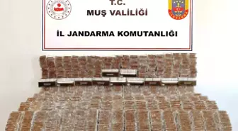 Muş'ta Kaçak Tütün Operasyonu: 40 Bin Dolu Makaron Ele Geçirildi
