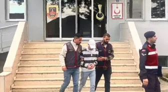 Fındık Hırsızlığı Zanlısı Tutuklandı
