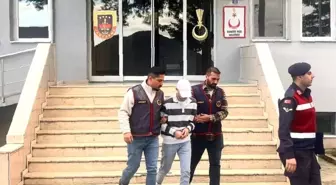 Ordu'da Fındık Hırsızlığı Şüphelisi Tutuklandı