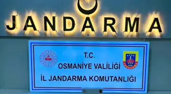 Osmaniye'de Jandarmadan Büyük Operasyon: 124 Şüpheli Gözaltına Alındı