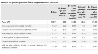 Eylülde Tarım Ürünleri Fiyatları Yükseldi