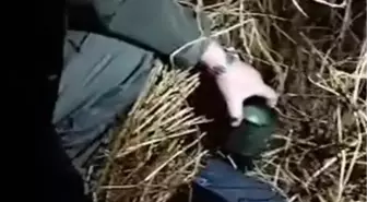 Bursa'da Yasa Dışı Avcılığa Geçit Yok