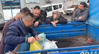 Zonguldak'ta Kestane Rekoltesi Yüzde 50 Düşerken Fiyatlar 400 TL'ye Çıktı