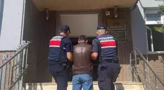 Antalya'da 208 Suçlu Yakalandı