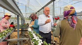 Manavgat'ta Dünya Kadın Çiftçiler Günü Kutlaması