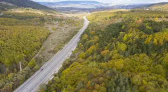 Bolu'da Sonbahar Güzelliği: D-100 Kara Yolu Sürücülere Görsel Şölen Sunuyor