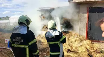 Bucak'ta Ot Balyaları Yandı