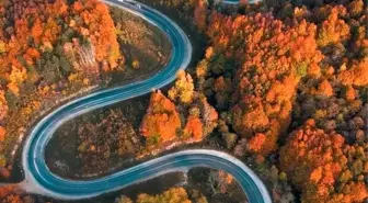 Sonbahar Renk Cümbüşü: İnegöl ve Domaniç Orman Yolu