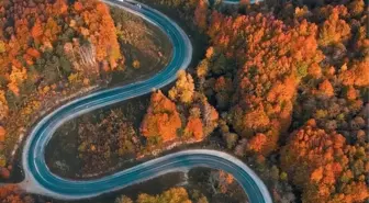 Sonbahar Renkleriyle Kıvrımlı Yol Manzarası