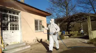 Düzce'de Kahverengi Kokarca ile Mücadele Devam Ediyor