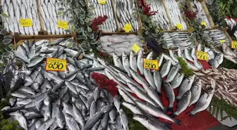 Edirne'de balık fiyatları