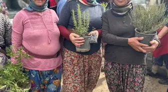 Kadın Çiftçilere Tıbbi ve Aromatik Bitki Fidesi Dağıtıldı