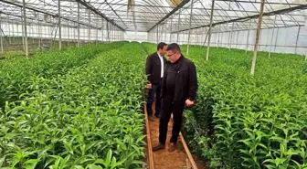 Emet'te Seracılık Faaliyetleri İçin Teknik Gezi Düzenlendi