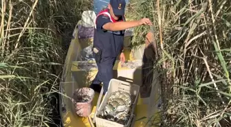 Mersin'de Yasa Dışı Mavi Yengeç Avına Operasyon