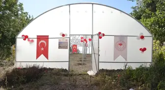 Hakkari'de Kadın Üreticilere 18 Sera Teslim Edildi