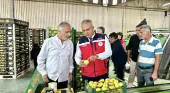 Hatay'da Limon İhracatı İçin Denetimler Sürüyor