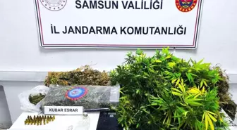 Samsun'da Uyuşturucu Operasyonu: 63 Kök Skunk ve 2 Kilo Esrar Ele Geçirildi