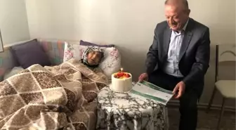 107 Yaşındaki Asırlık Çınarın Doğum Günü Kutlandı