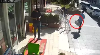 İskenderun'da Dondurma Hırsızlığında Şok Gerçek