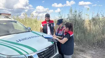 Silifke'de Yasa Dışı Mavi Yengeç Avcıları Yakalandı